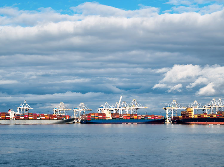 Export Agency Image 2